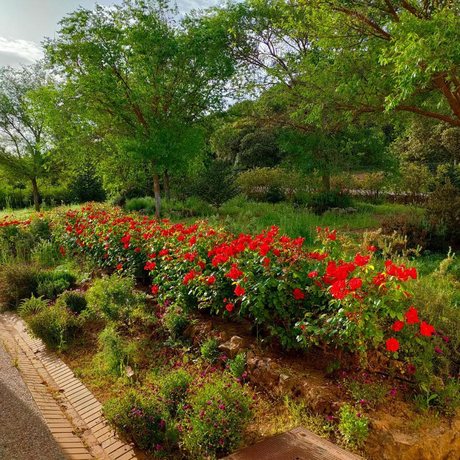 Hotel Rural Carlos Astorga أرشذونة المظهر الخارجي الصورة